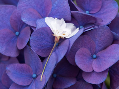 Not a bad final resting place.