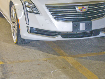 The king of the world parks in my garage.