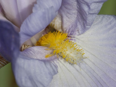There were two photo shoots nearby as I took this.  The Oregon District is Dayton`s photography studio.