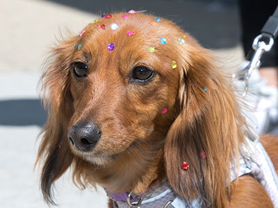 Derby Day is a good reason to get dressed up.