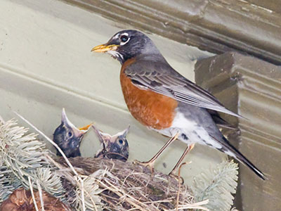 The shot I`ve been waiting for (see April 29, 2026).