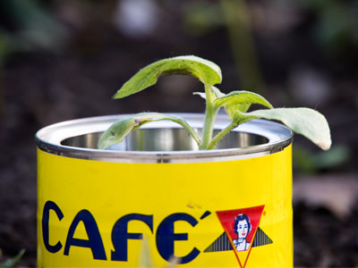 We can all use a little help when we`re just starting out.