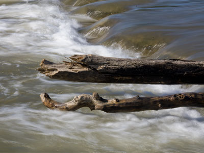 Debris from somewhere upriver.